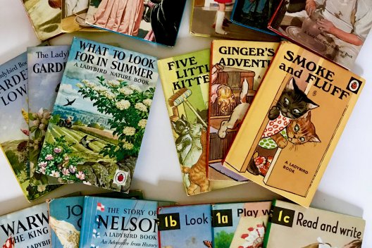 Image: Ladybird books