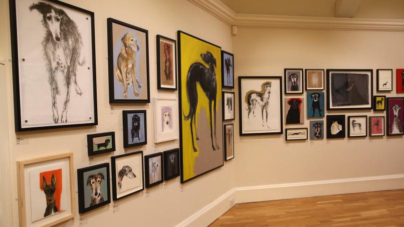 Image: Sally Muir exhibition in the Small Lower Gallery
