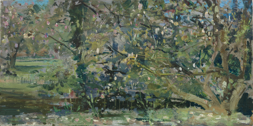 Magnolia, The Botanical Gardens, 2022