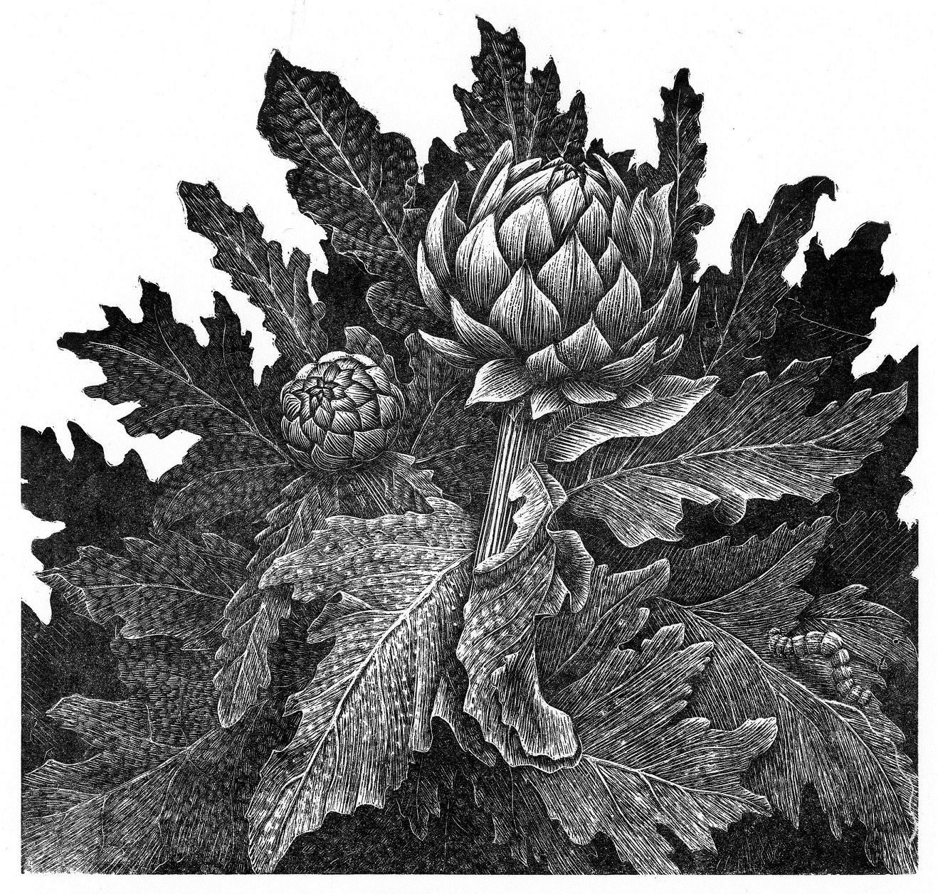 Geri Waddington Artwork