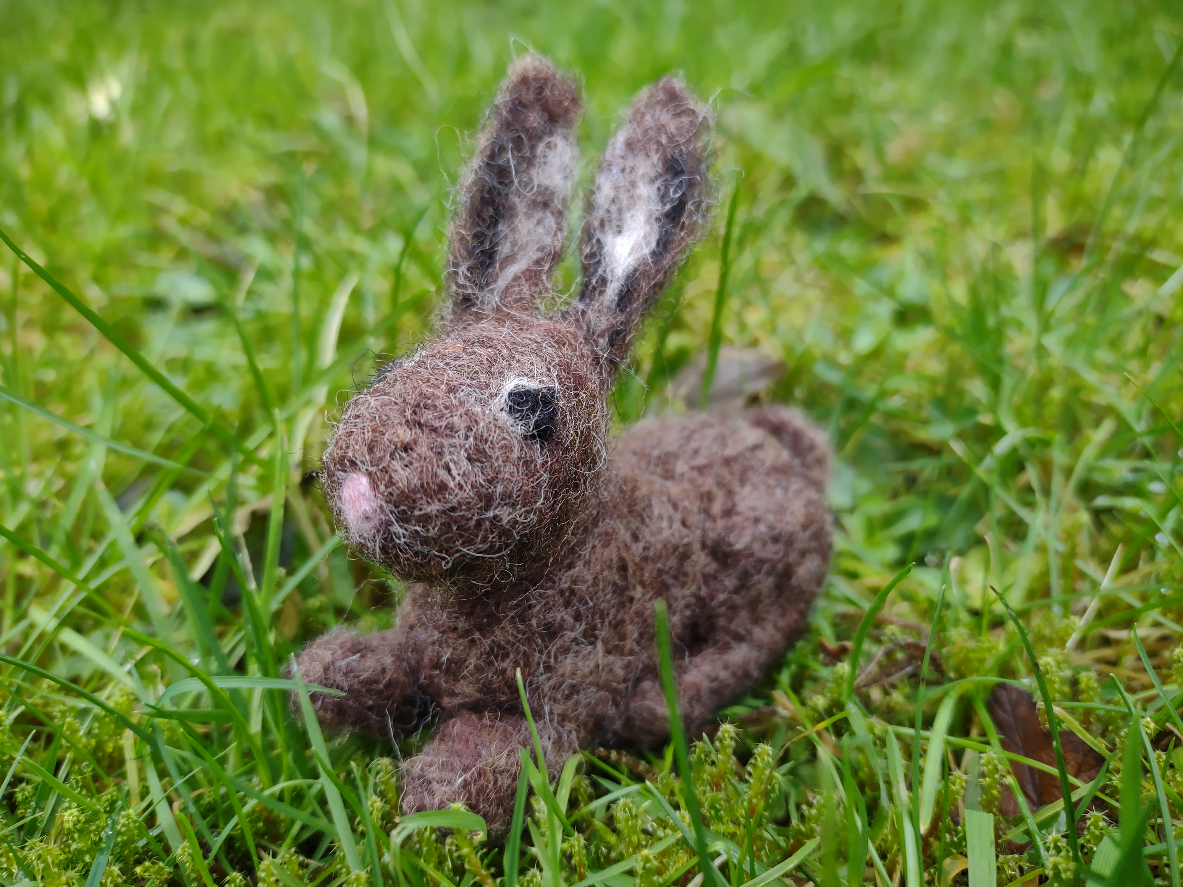 Introduction to 3D Needle felting - The Lost Spells HARE