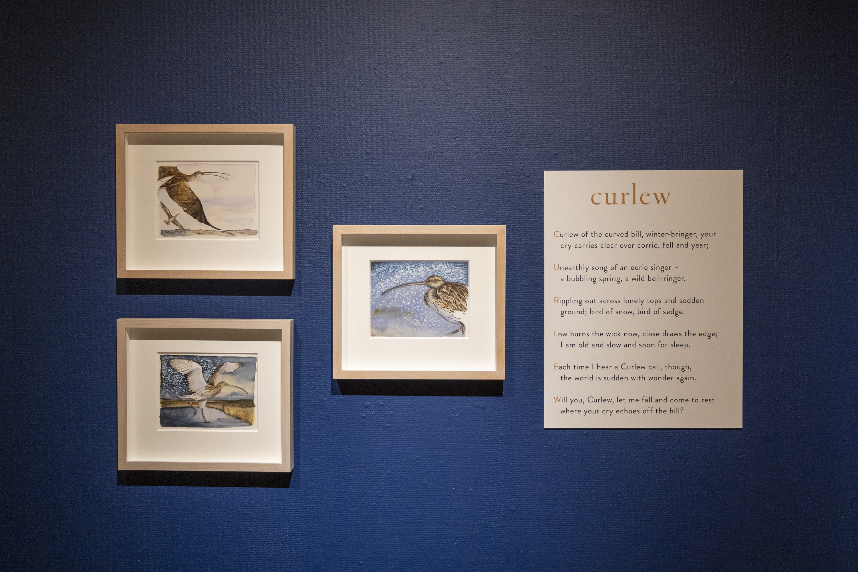 Lost Spells, Curlews Call