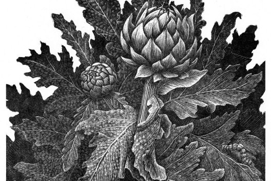 Geri Waddington Artwork